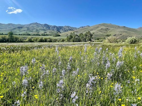  Fish Creek Rd, Carey, ID, 83320 | Card Image