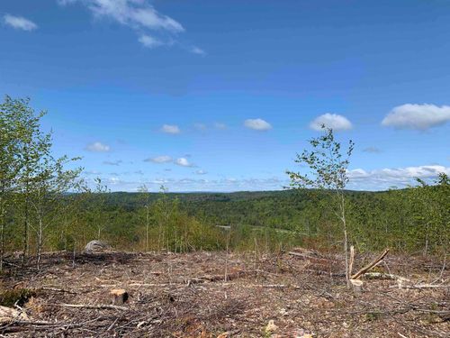 Lot 96-1 Granite Lake Rd, Nelson, NH, 03457-5106 | Card Image