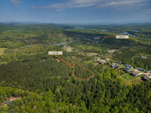 Lot 265 Thirteen Hundred S/D, Blairsville, GA, 30512 | Card Image