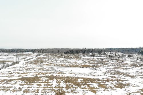 1178 121 Highway, Kawartha Lakes, ON, K0M1N0 | Card Image