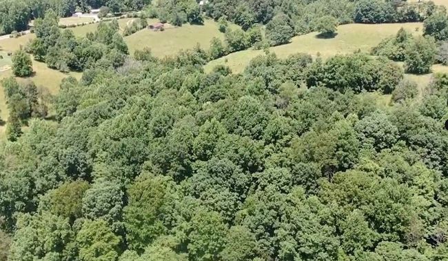 33.64 ac Davis Rd, Home with 0 bedrooms, 0 bathrooms and null parking in Livingston TN | Image 14