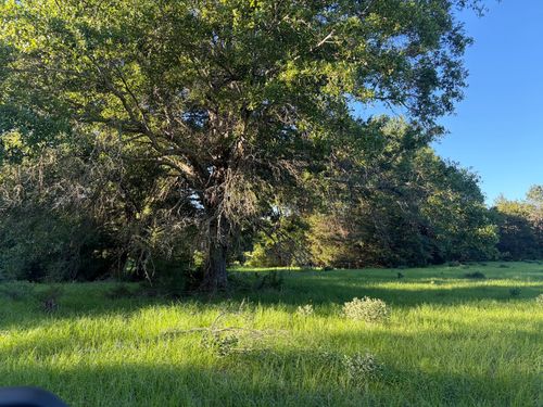 289 Fcr 261, Oakwood, TX, 75855 | Card Image