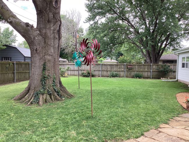 View of yard | Image 13
