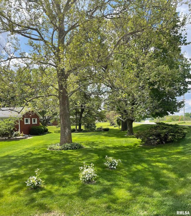 4902 106 Th Ave, House other with 3 bedrooms, 3 bathrooms and null parking in Milan IL | Image 4