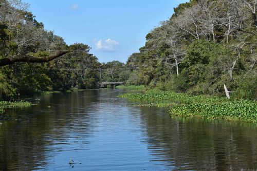 17206 Highway 431, Prairieville, LA, 70769-6611 | Card Image