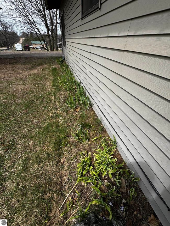 10630 Packingham Rd, House other with 1 bedrooms, 2 bathrooms and null parking in Manton MI | Image 57