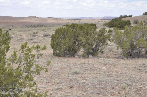 88B County Road 5035, Concho, AZ, 85924 | Card Image