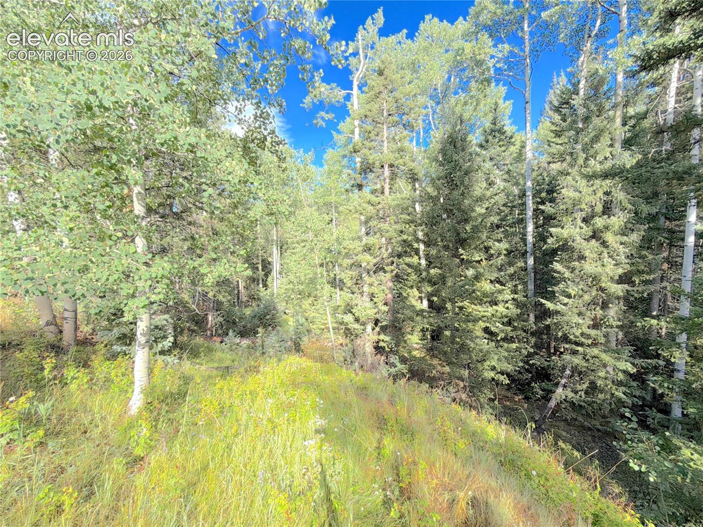 Land in Florissant 2
