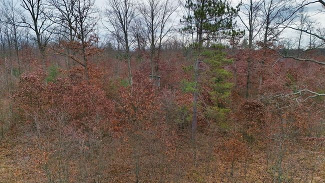 3726 N Custer Rd, Home with 0 bedrooms, 0 bathrooms and null parking in Manistee MI | Image 31