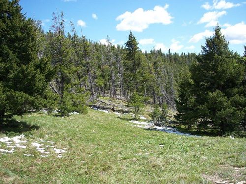 510 Cadotte Creek Rd, Lincoln, MT, 59639 | Card Image