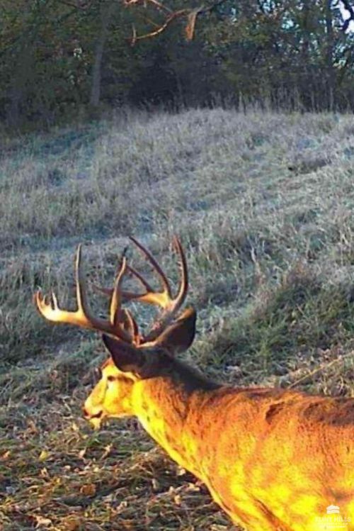 2371 Highway 4, Herington, KS, 67449 | Card Image