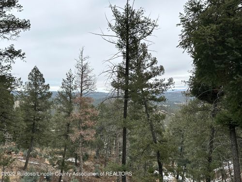 206 Mountain High Cir, Ruidoso, NM, 88345-9163 | Card Image