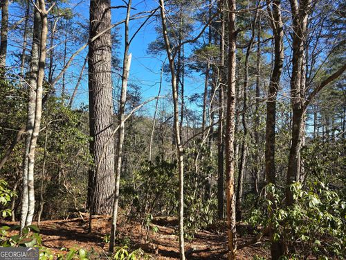 45K Blue Ridge Dr, Sautee Nacoochee, GA, 30571-5009 | Card Image