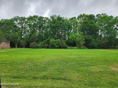 Tbd Dohmann Dr, Ville Platte, LA, 70586 | Card Image
