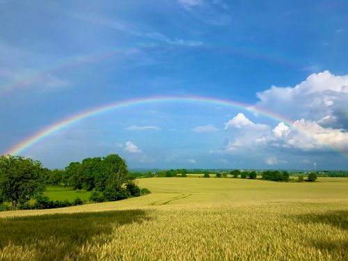 1330 Curry Pike, Harrodsburg, KY, 40330-9730 | Card Image