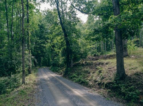 0 Reid Rd, Lexington, VA, 24450 | Card Image