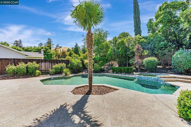Swimming Pool and Spa | Image 27