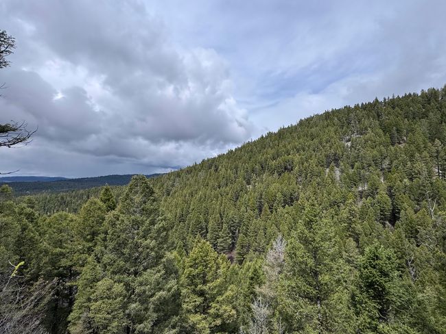 653 Canyon Hollow Lane, Home with 0 bedrooms, 0 bathrooms and null parking in Helmville MT | Image 40