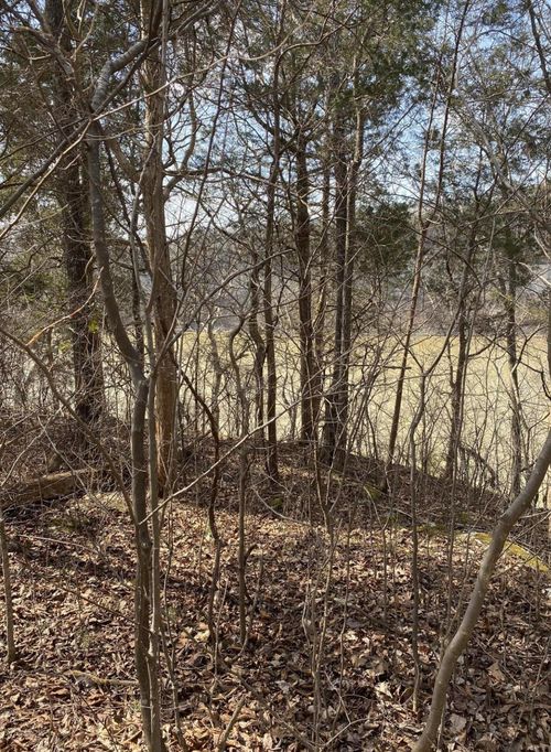 3 N Fork Dr, Burnside, KY, 42519 | Card Image