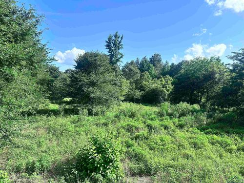 TBD Cherokee Trce, Gilmer, TX, 75644 | Card Image