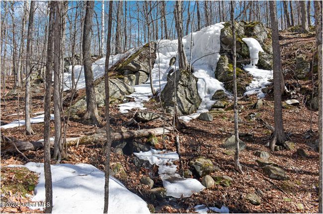 48 Durkin Rd, Home with 0 bedrooms, 0 bathrooms and null parking in North Creek NY | Image 46