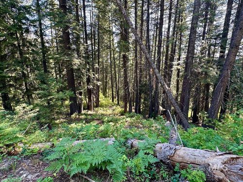 37 Arling Trl, Donnelly, ID, 83615-1022 | Card Image