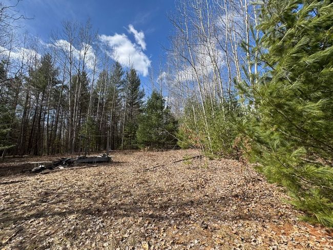 4233 Hardacre Trl, Home with 0 bedrooms, 0 bathrooms and null parking in Houghton Lake MI | Image 5