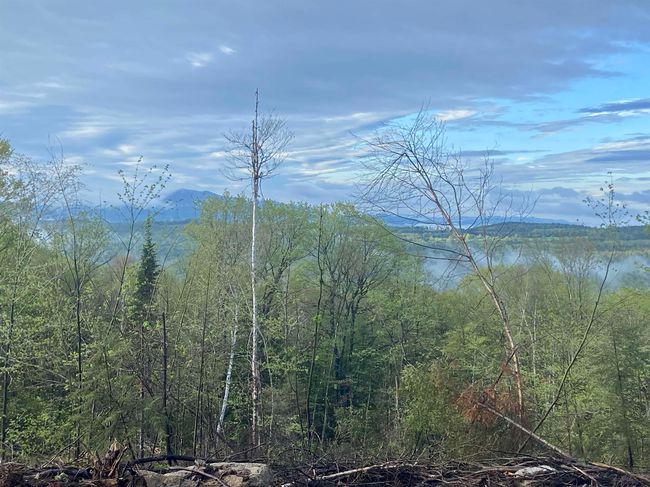 1180 Abbott Hill Rd, Home with 0 bedrooms, 0 bathrooms and null parking in West Burke VT | Image 25