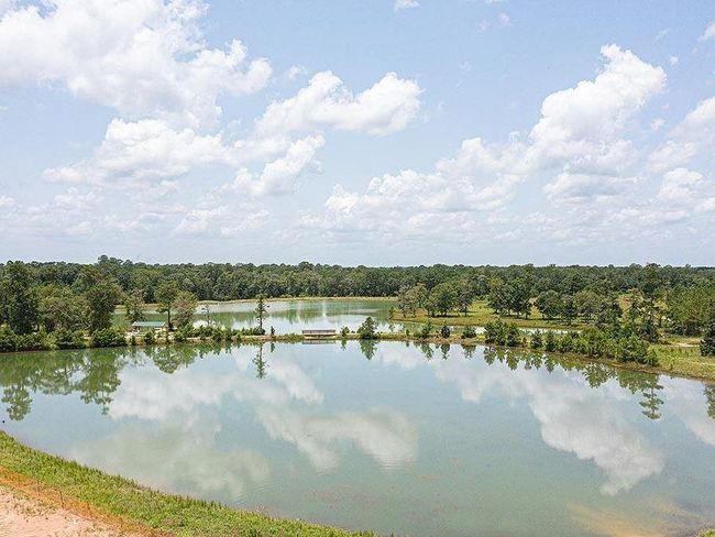 479 Shoreview Dr, House other with 4 bedrooms, 3 bathrooms and 2 parking in Conroe TX | Image 7