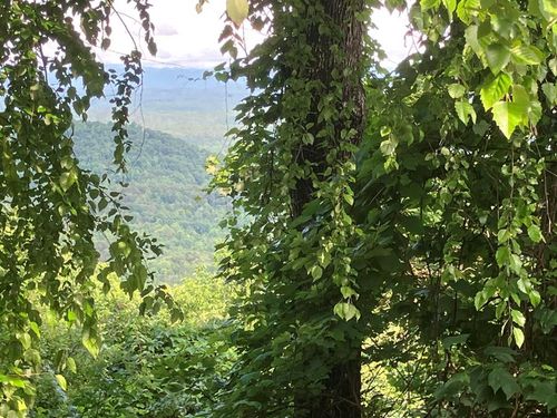 Lot 51 Buck Ridge Drive, Murphy, NC, 28906 | Card Image