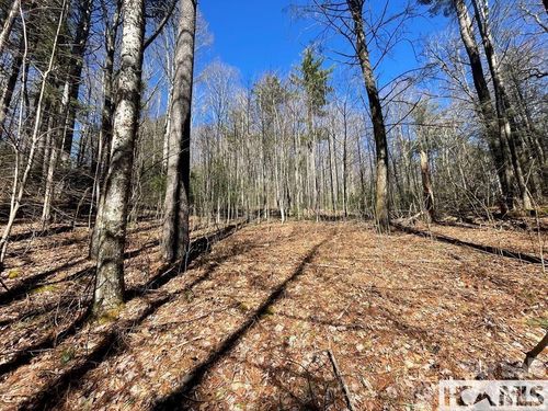 1 Bear Log Rd, Cashiers, NC, 28717 | Card Image