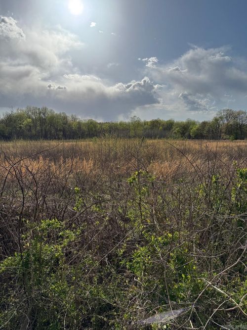 000 County Road 343, Piggott, AR, 72454 | Card Image