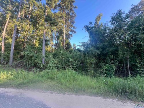 TBD Applewood Trl, Gilmer, TX, 75645 | Card Image