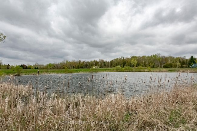 18330 Mountainview Rd, House other with 3 bedrooms, 1 bathrooms and 18 parking in Caledon East ON | Image 41