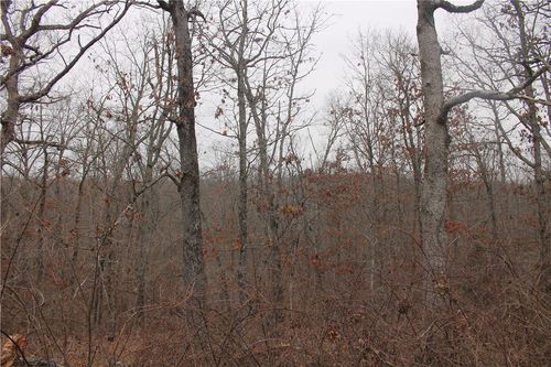 TBD Cromarty Dr, Bella Vista, AR, 72715 | Card Image