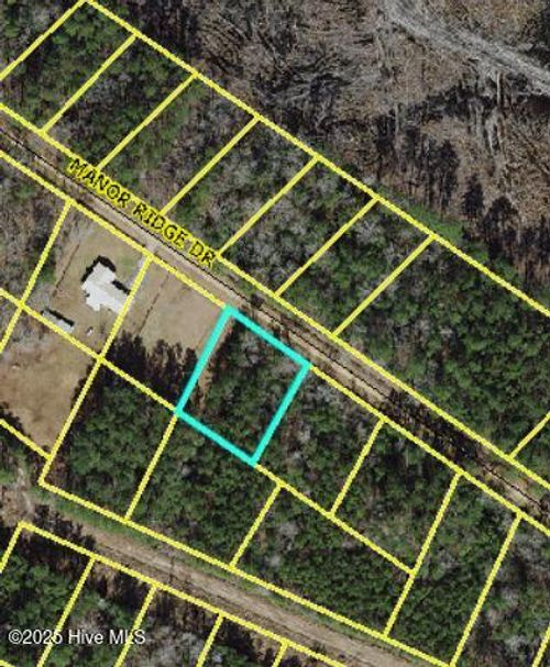 Lot 43 Manor Ridge Drive, Clarkton, NC, 28433 | Card Image