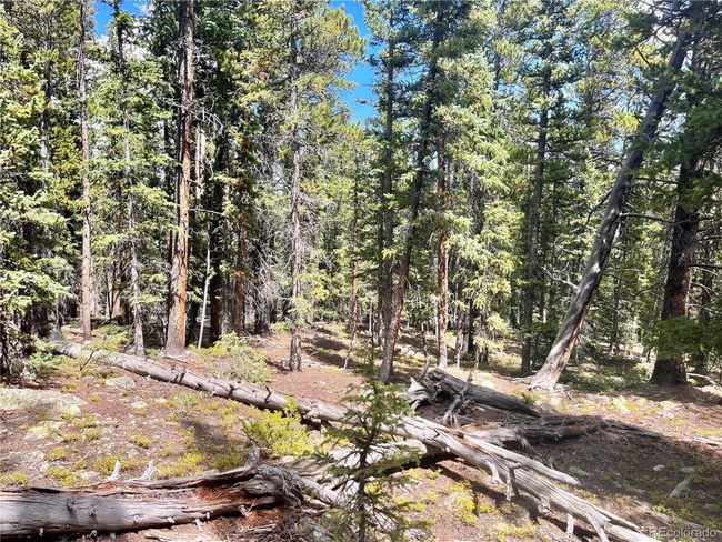 676 Dry Gulch Rd, Home with 0 bedrooms, 0 bathrooms and null parking in Fairplay CO | Image 24