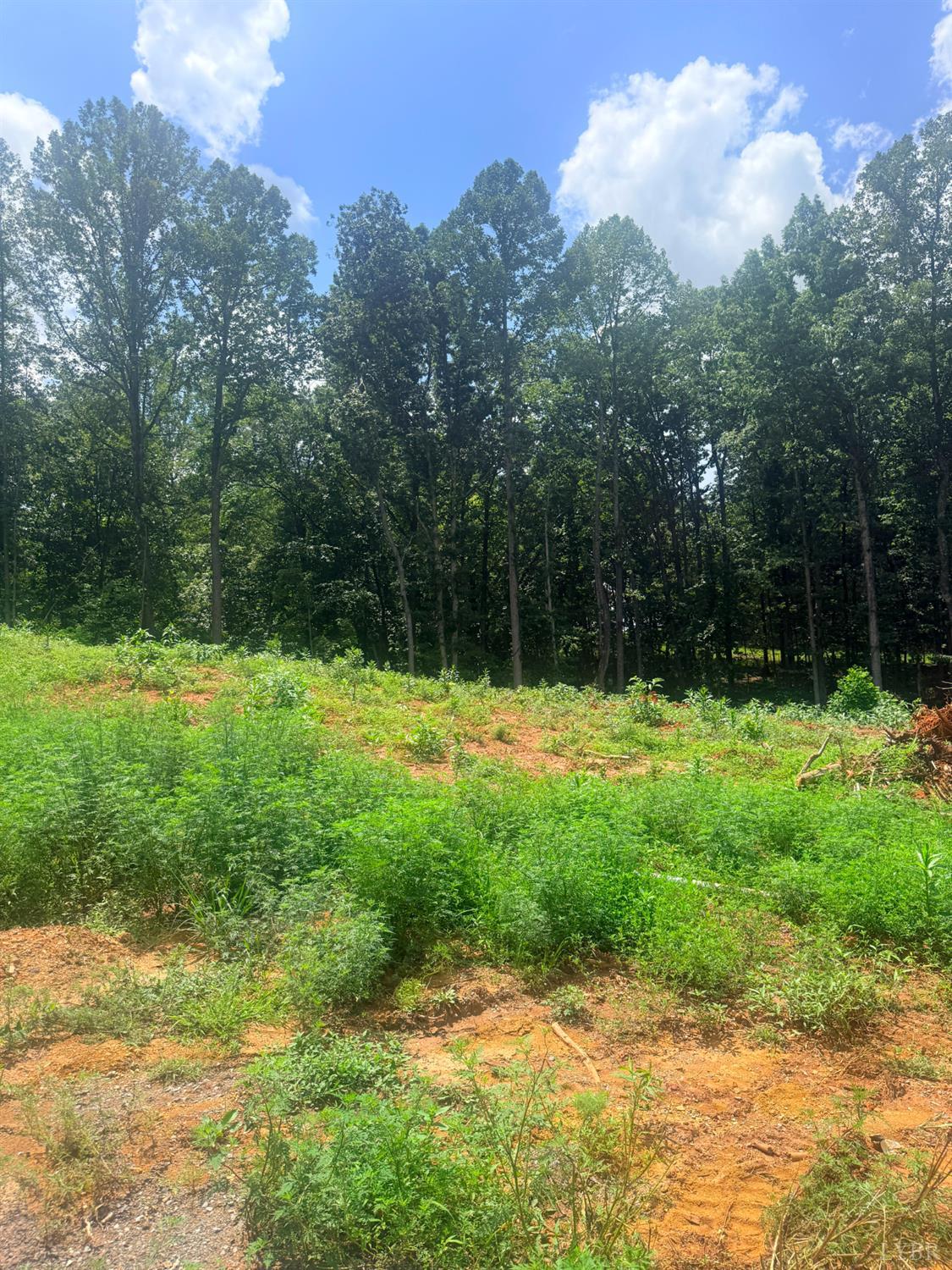 Land in Bedford 2