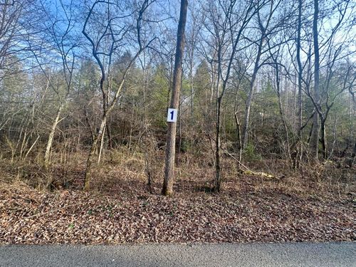 Lot 1 Radford Rd, East Bernstadt, KY, 40729-6937 | Card Image