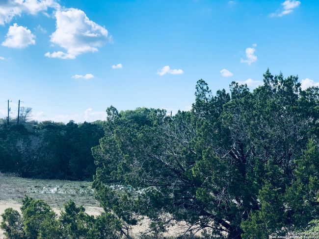 1020 Cliff Cir, Home with 0 bedrooms, 0 bathrooms and null parking in Spring Branch TX | Image 4
