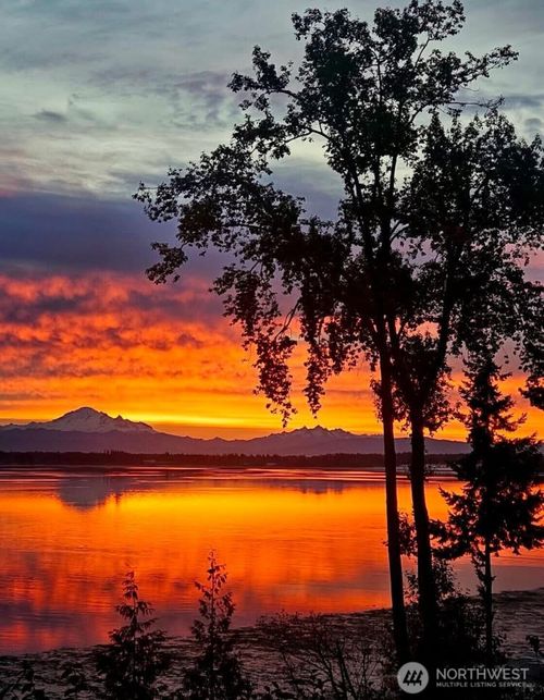 9140 Aerie Ln, Blaine, WA, 98230-5728 | Card Image