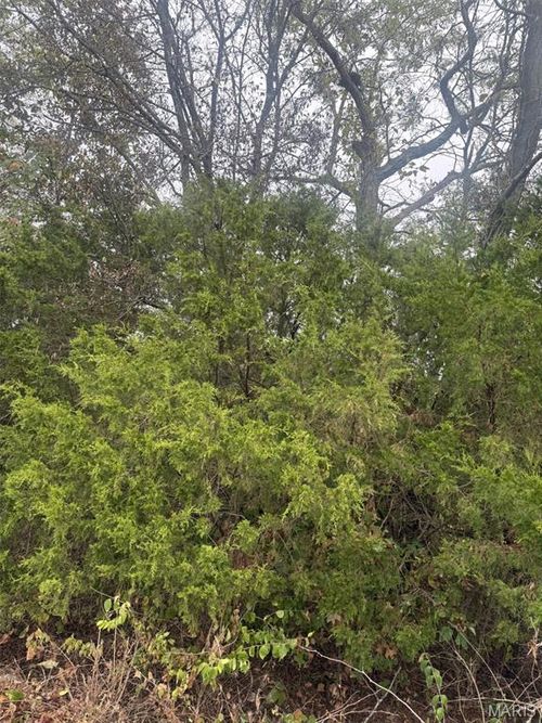 2 Hilltop Acres Drive, Washington, MO, 63090 | Card Image