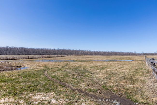 2552 Base Line, Home with 4 bedrooms, 1 bathrooms and 10 parking in Keene ON | Image 35