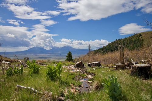TBD Cherry St, La Veta, CO, 81055 | Card Image