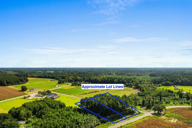 View of rural area with property parcel outlined and a heavily wooded area | Image 6
