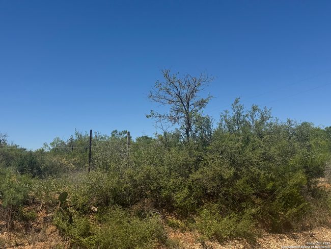 00 Kyote Rd, Home with 0 bedrooms, 0 bathrooms and null parking in Bigfoot TX | Image 4