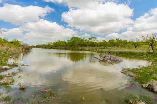 817 County Road 130, Ballinger, TX, 76821 | Card Image