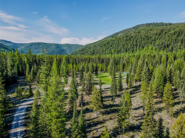Mountain view with a forest | Image 49