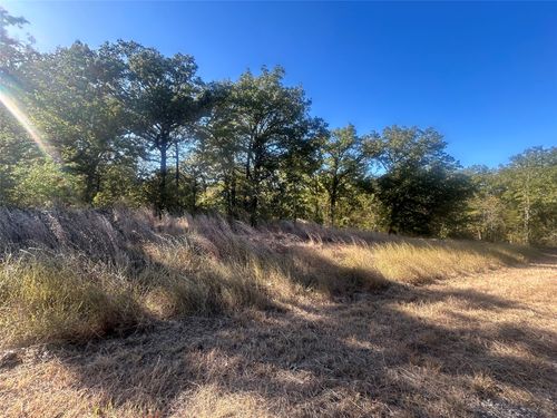 58 Point Lavista, Malakoff, TX, 75148 | Card Image