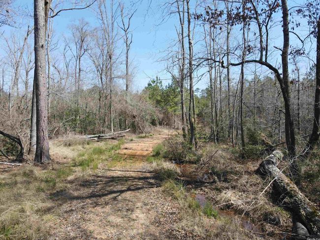 00 Nevada County 175 Road, Home with 0 bedrooms, 0 bathrooms and null parking in Rosston AR | Image 29